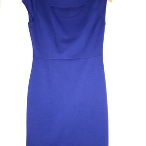 Purlple/bluish dress with chest design.